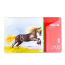 مداد رنگی 36 رنگ فکتیس