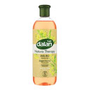 شامپو بدن با عصاره گیاه زیرفون 500 میلی لیتری دالان