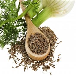 عرق رازیانه 1 لیتری